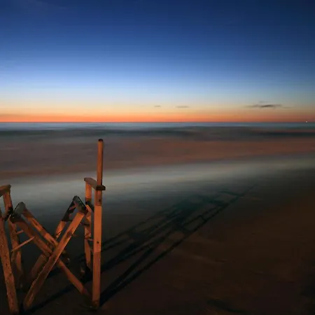 Ely Viareggio
