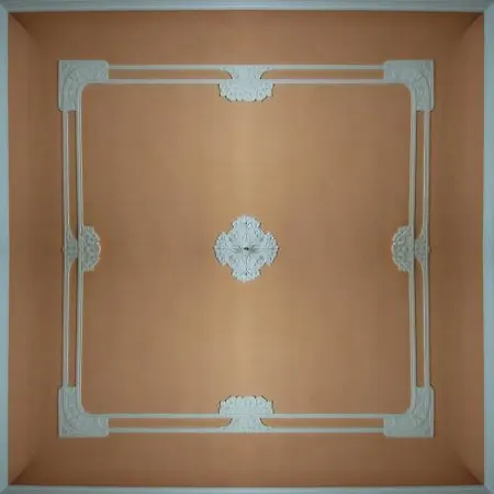 Ely ヴィアレッジョ